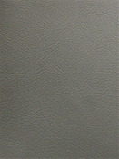 Boone 12307 Faux Leather Barrow Fabric